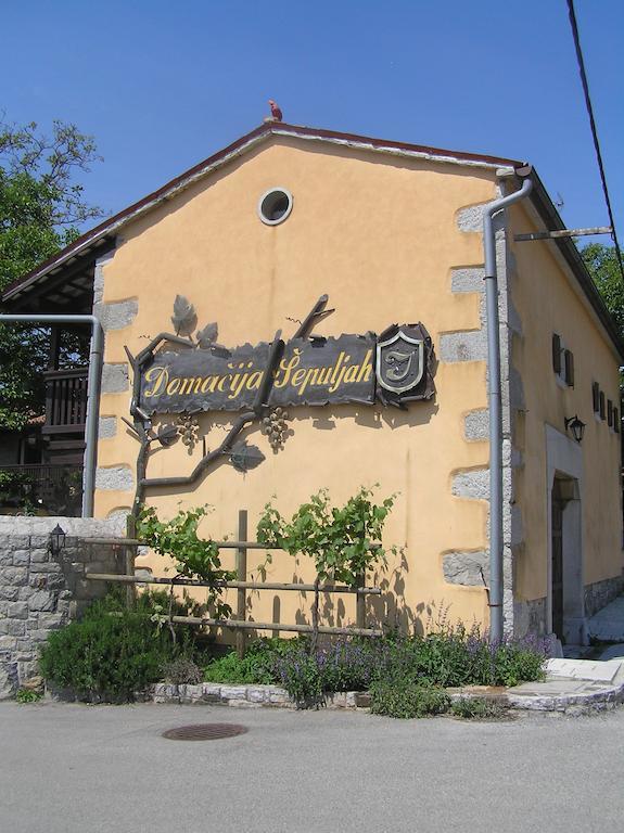 Guesthouse Domacija Sajna Сежана Екстер'єр фото
